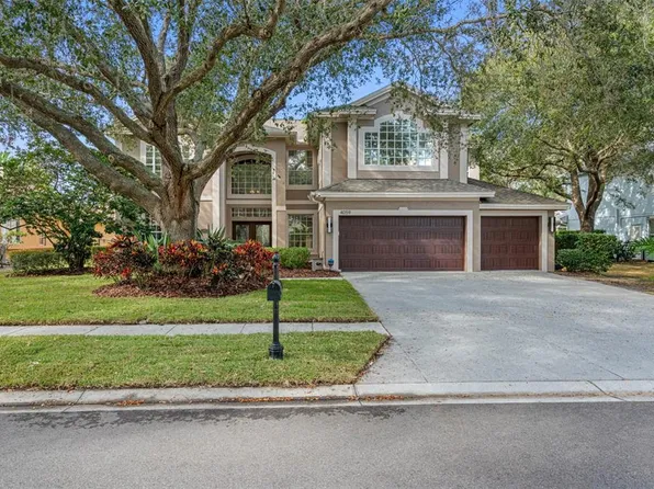 4059 Ligustrum Dr, Palm Harbor, FL 34685