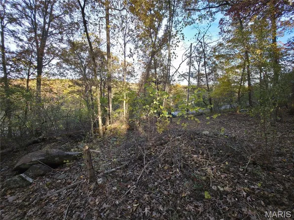 9313 Beach Dr, French Village, MO 63036