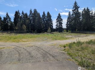 9019 173rd Ave SW, Rochester, WA 98579