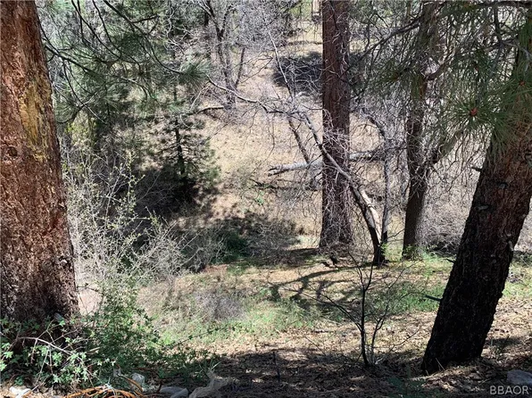 1224 Minton Dr, Big Bear City, CA 92314