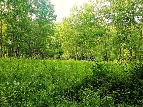 3rd image of 000 Cherry Ln