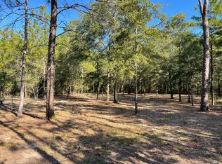 31 E Box Elder Dr #II, Defuniak Springs, FL 32433