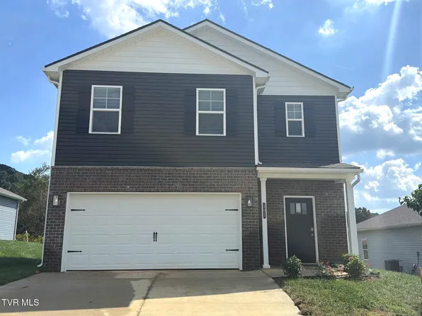 305 Chimney View Loop, Blountville, TN 37617