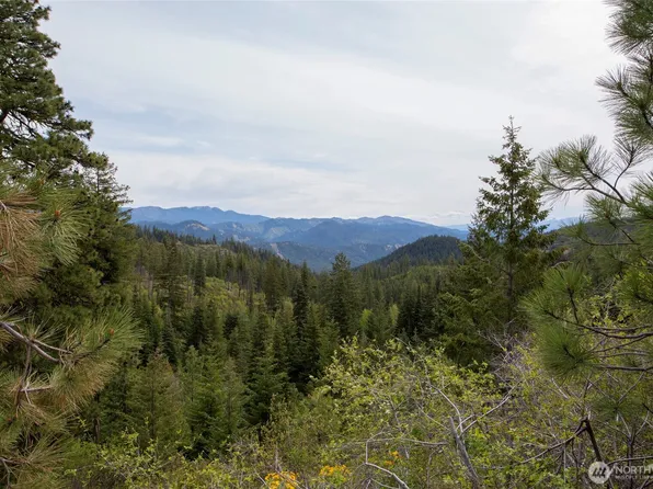 0 Forest Service 6601-550 Rd #C, Leavenworth, WA 98826