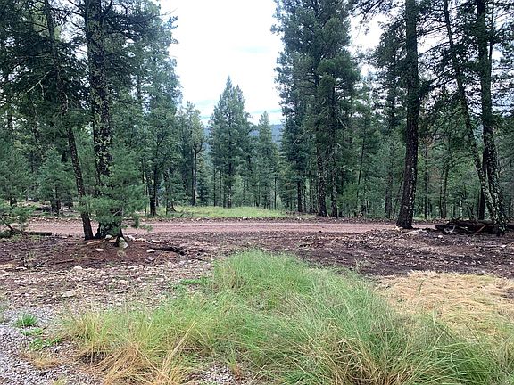 4th image of LOT 5 Pinos Verdes