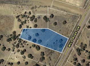 133 Wild Rose Dr, Canon City, CO