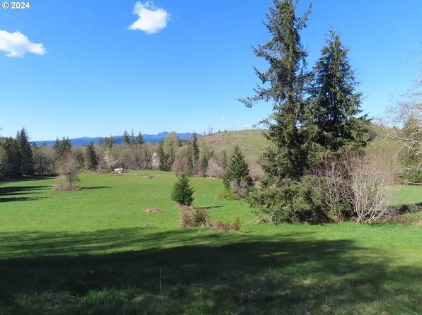 Hagen Rd, Mossyrock, WA 98564