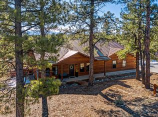 213 Big Canyon Point, Ridgway, CO 81432