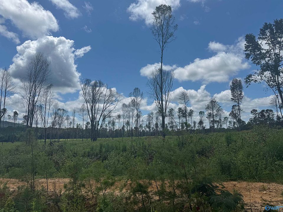 1st image of 12 County Road 794