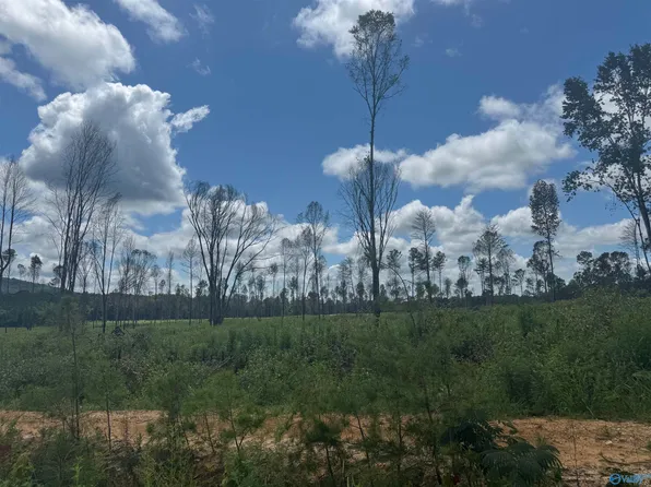 12 County Road 794, Gaylesville, AL 35973