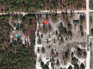 137 Strawberry Ln, Pomona Park, FL 32181
