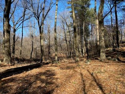  Old Logging Road, Bedford, NY, 10506
