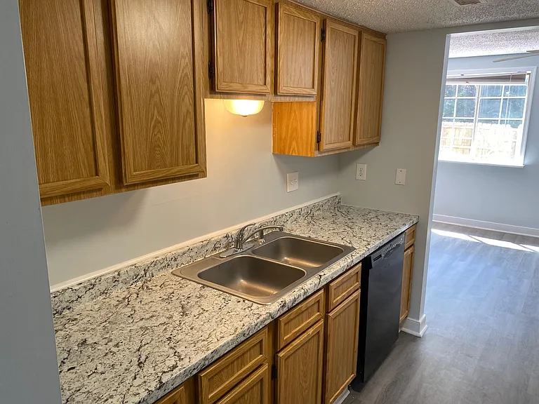 9732 Springfield Woods Cir — Photo 12