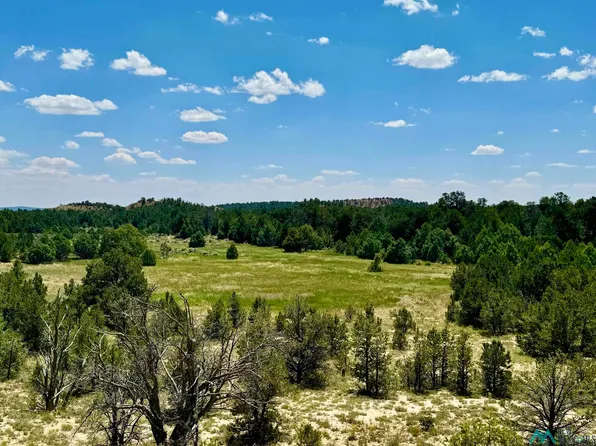 130 Sawmill Rd, Regina, NM 87046