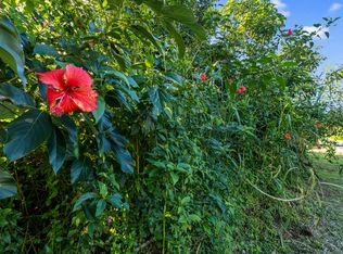 15-2716 Moi St Lot 25, Pahoa, HI 96778