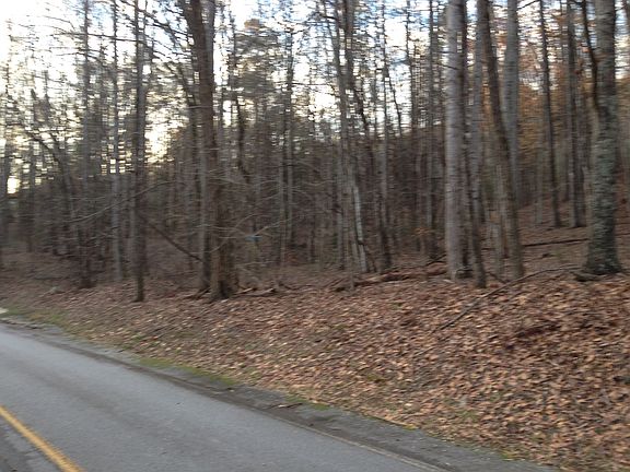 4th image of 1209 Panther Park Trl
