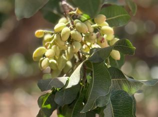 Avenue 24 & Rd #208, Terra Bella, CA 93270