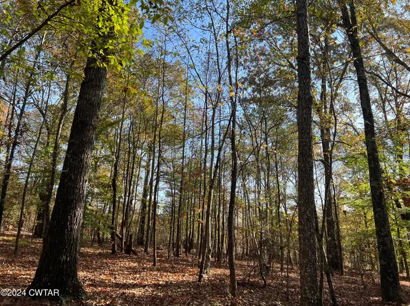 908 Excalibur Trl Lot 102, Cedar Grove, TN 38321