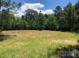 18710 Scivicque Ln, Denham Springs, LA 70726