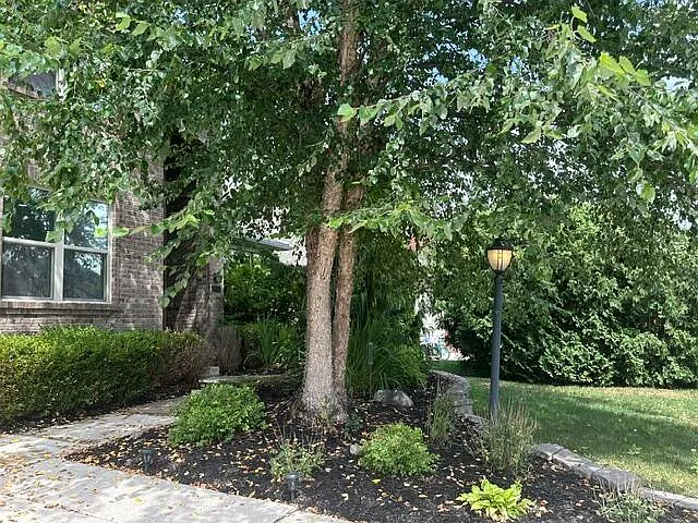 3 bed, 2.5 bath, 2358 sqft, $3,000 — Photo 4