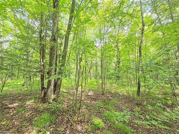 2nd image of On Woodland Lane