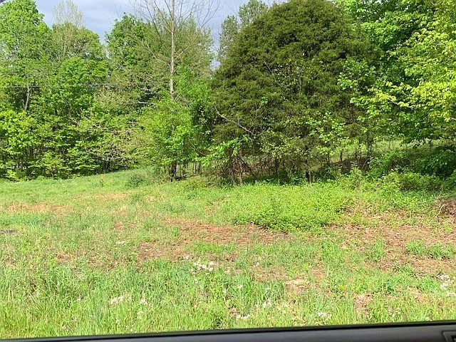 2nd image of 0 Highway 31 E Lot 2