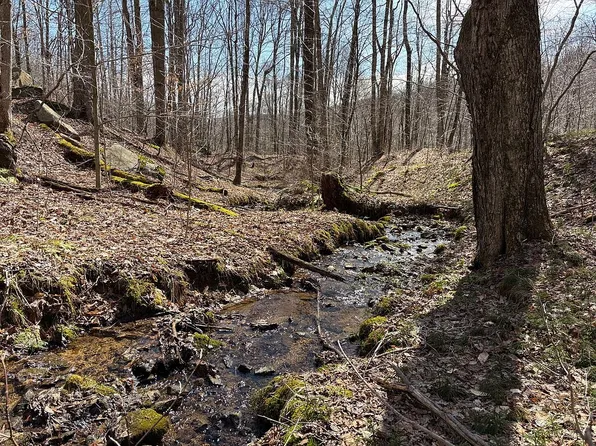 353 Moody Hollow Rd, Rixford, PA 16745