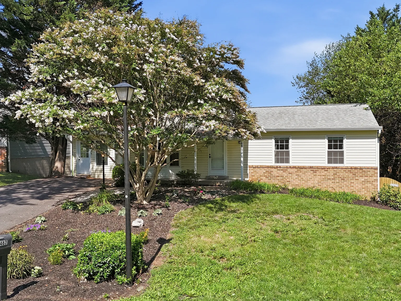 4 bed, 1776 sqft, $3,000 — Photo 3