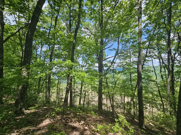 14 Higgenbottom Tpke, Altamont, TN 37301