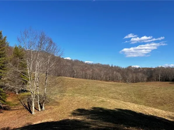 1266 Flatwoods School Rd, Creston, NC 28615