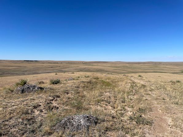 Highway 86, Agate, CO 80101