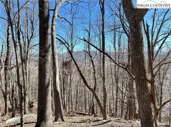 TBD/Lot 23 Scenic Mountain Drive, Sparta, NC 28675
