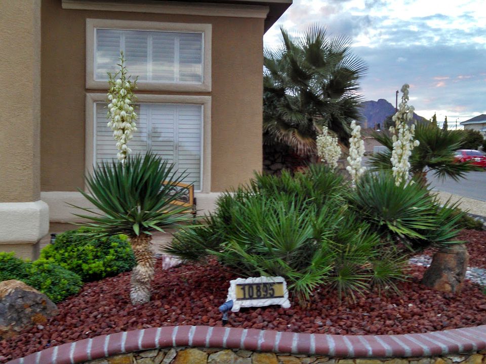 1st image of 10895 Loma De Alma Dr