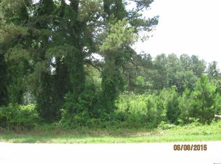 Highway 319, Conway, SC 29526