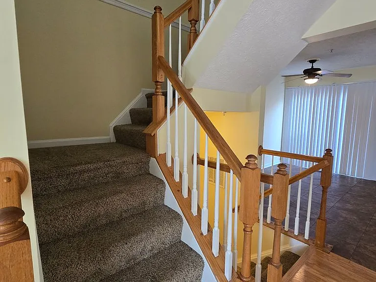 4927 Bristle Cone Cir — Photo 5