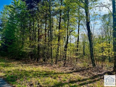 LOT 34 Pine Knoll Farms Loop, Stuart, VA, 24171