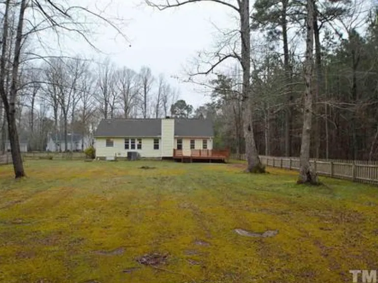 Back yard