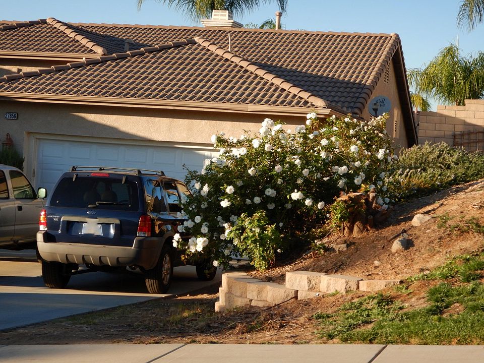 2nd image of 27656 Brookshire Cir