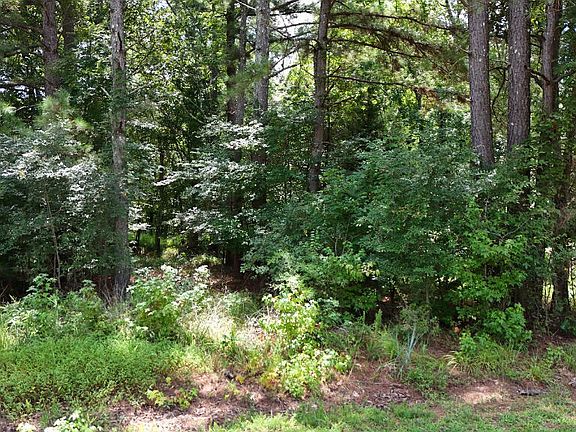 4th image of 25 Leonard Ln