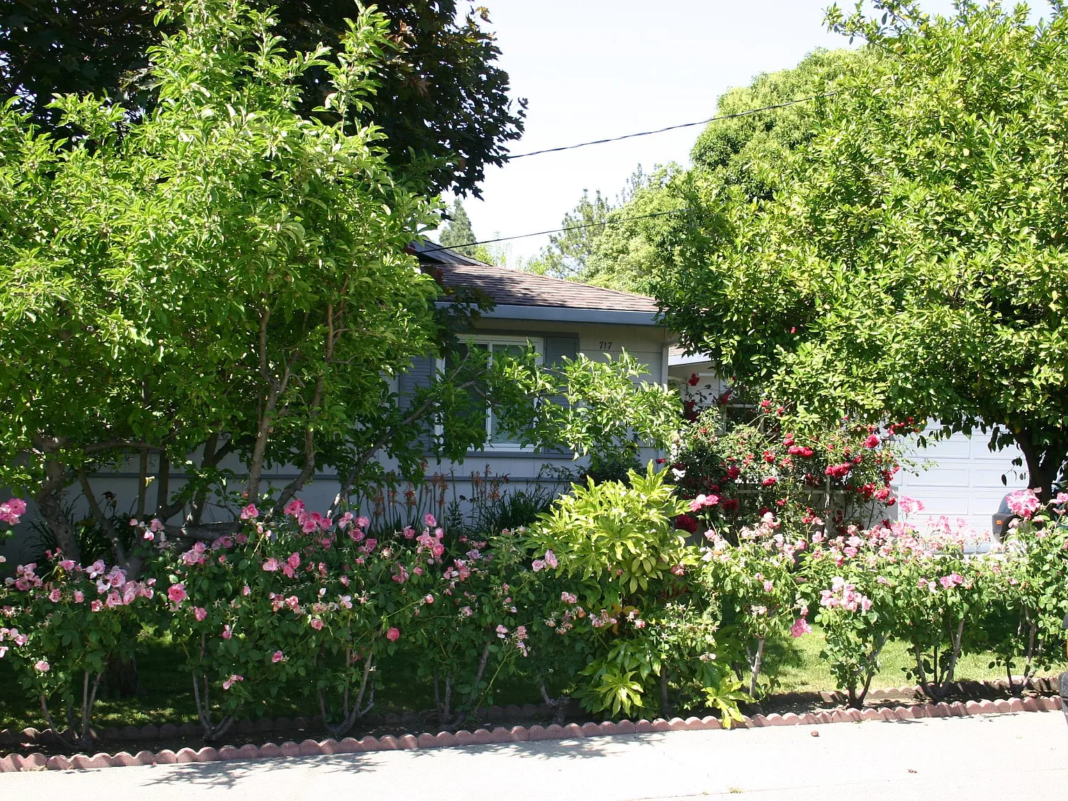 3 bed, 1188 sqft, $4,250 — Photo 2