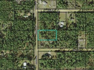 9920 Kirchherr Ave, Hastings, FL 32145