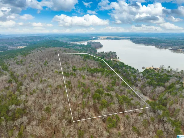 34 Acres Mountain Tract Pne, Alpine, AL 35014