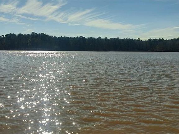 4th image of 110 Little River Run N Lot 0