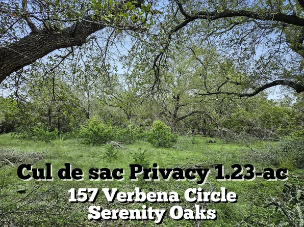 157 Verbena Cir, Spring Branch, TX 78070