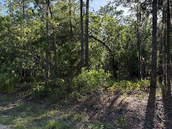 4th image of 2005 CR 243E LOT 3