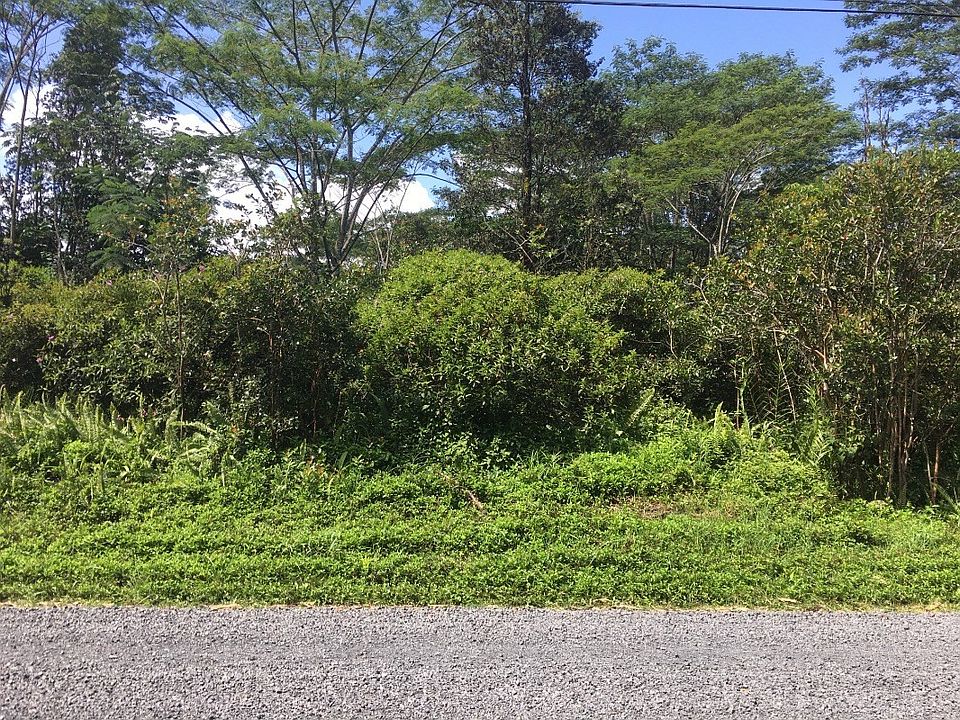 1st image of 11th Avenue Kika Lot 724