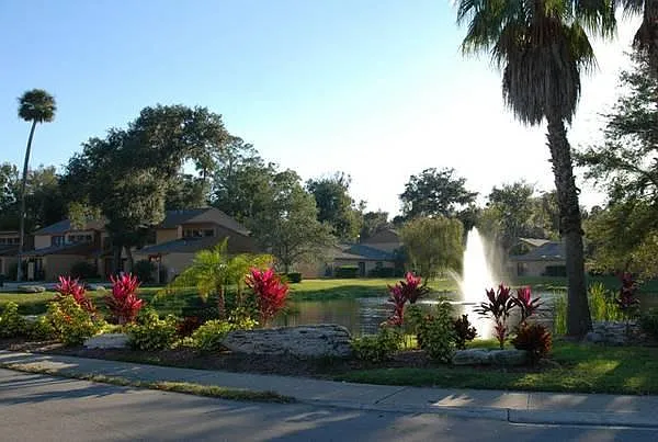 Pond