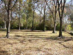 4th image of 1026 Blackhaw St