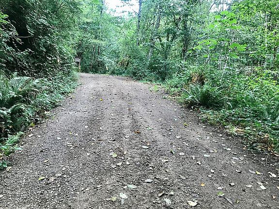 gravel road to property