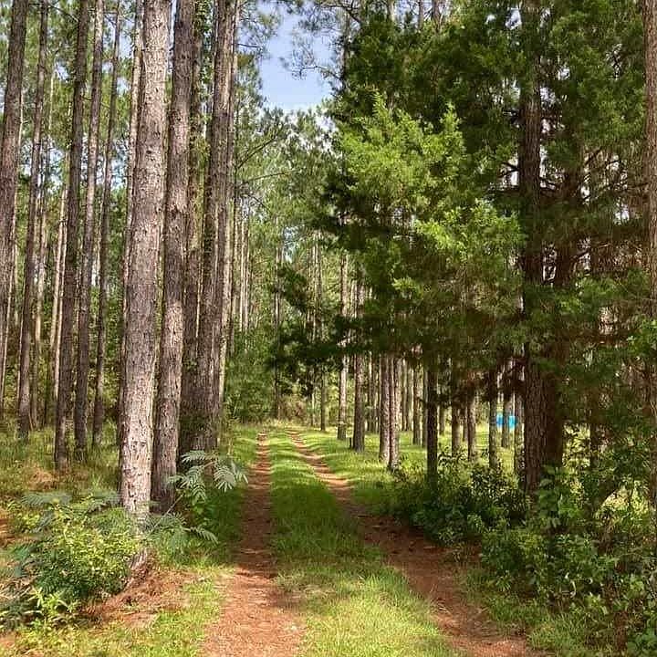 1st image of 10828 Deerfoot Ln Lot 42